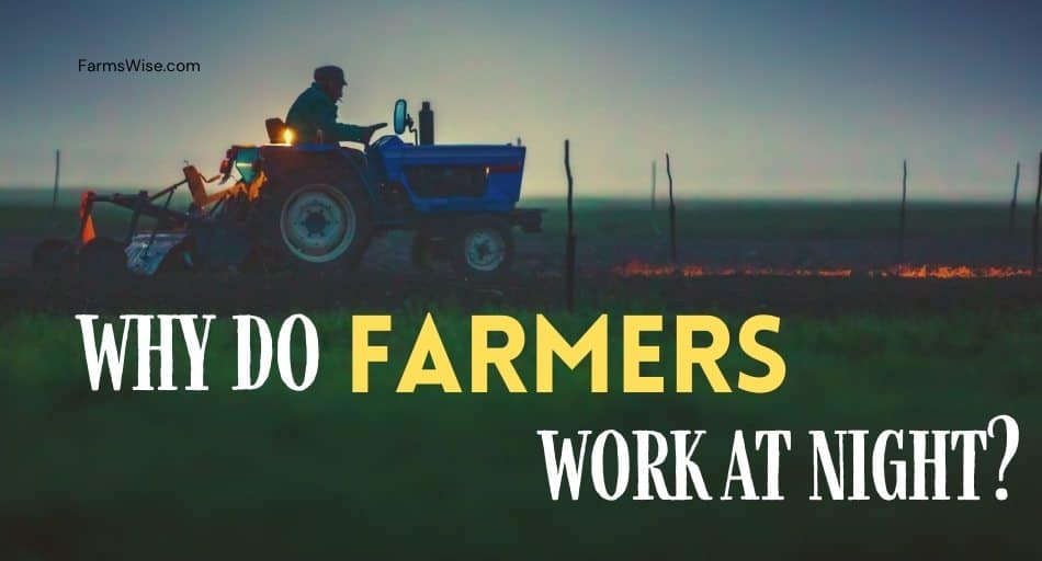 Why Do Farmers Work At Night?