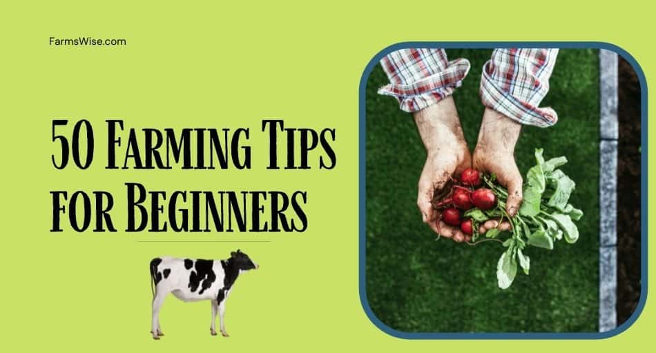 50 Farming Tips For Beginners