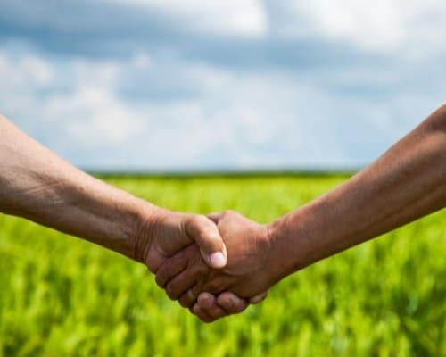 Farmers Handshake In Green Wheat Field