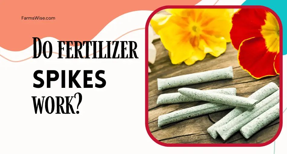 Do Fertilizer Spikes Work?