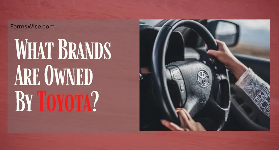 What Brands Are Owned By Toyota