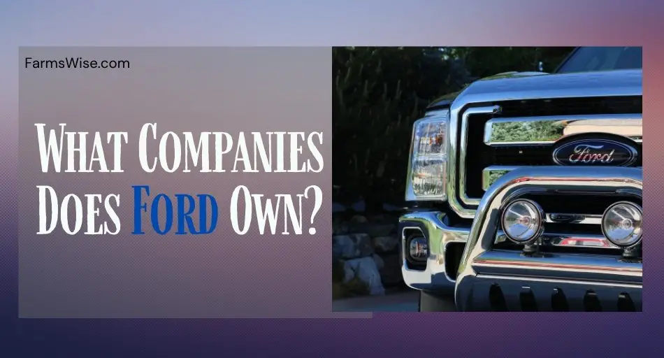 What companies does Ford own