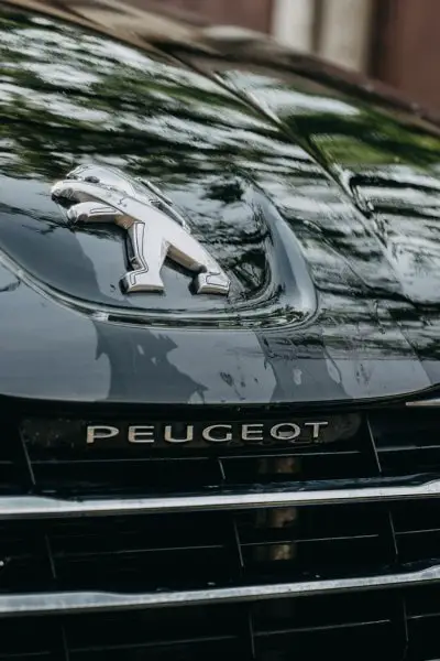 Black Peugeot Car