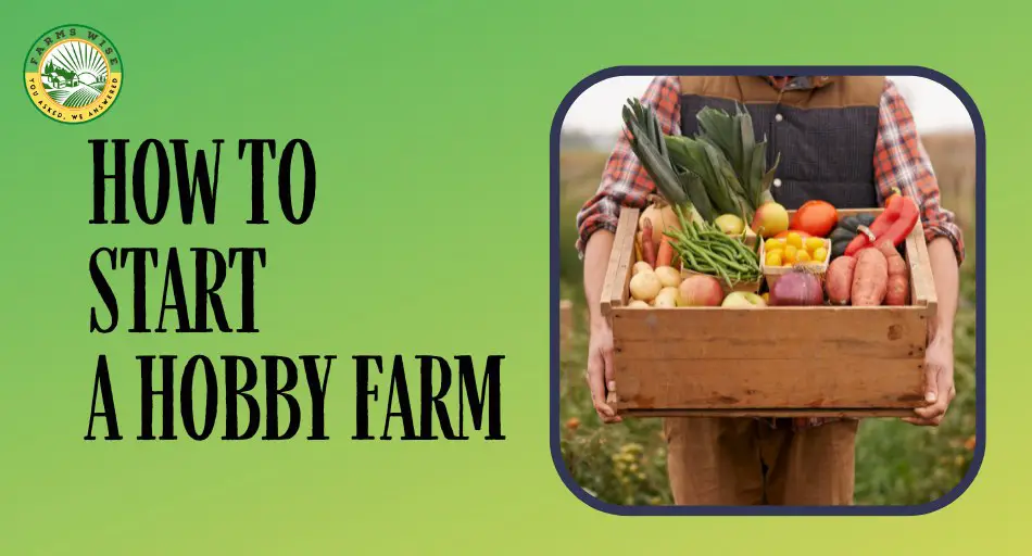 Starting a Hobby Farm