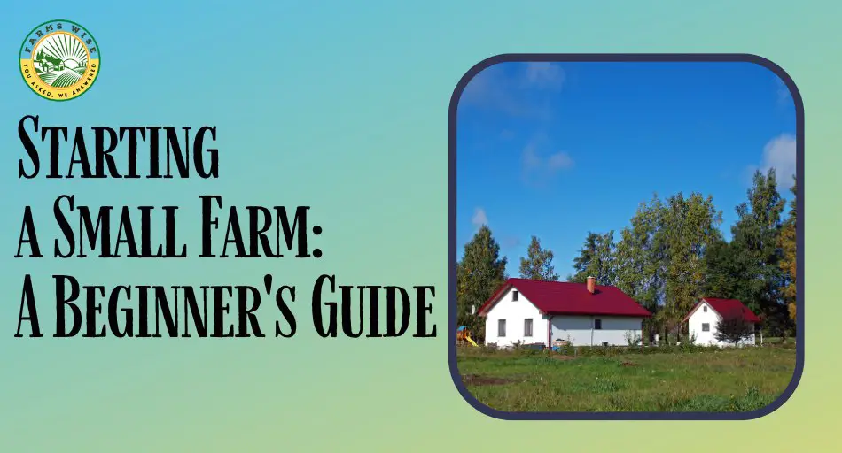 Starting a Small Farm: A Beginner's Guide