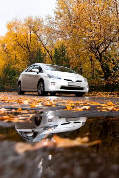 Toyota prius driving on autumn road