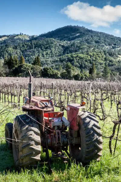 Tractor parked in vineyard
