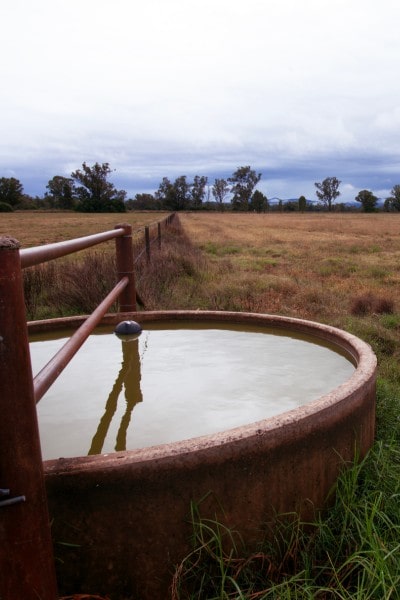 Water source at the farm