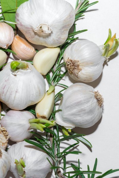 Cloves of garlic