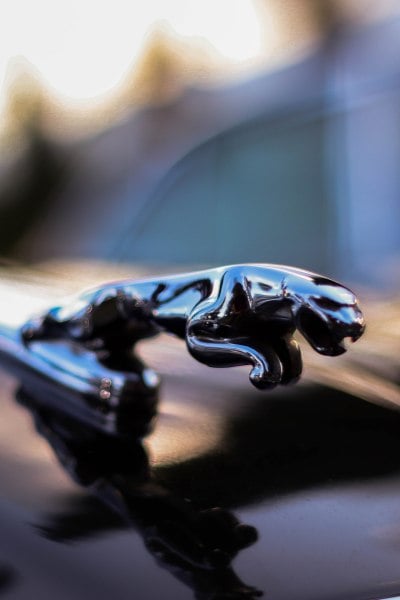 Jaguar car emblem