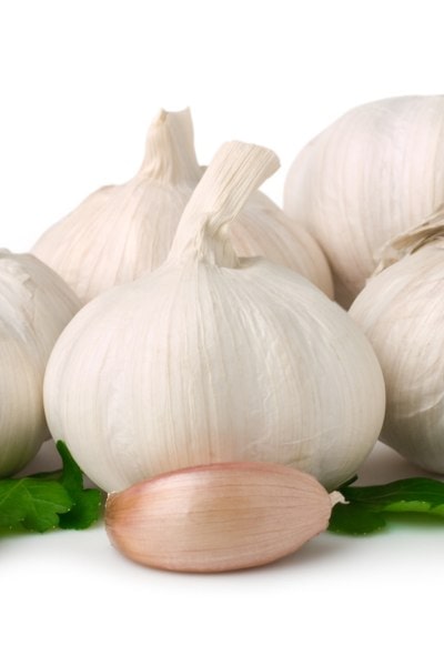 Softneck garlic