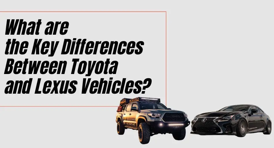 What are the Key Differences Between Toyota and Lexus Vehicles