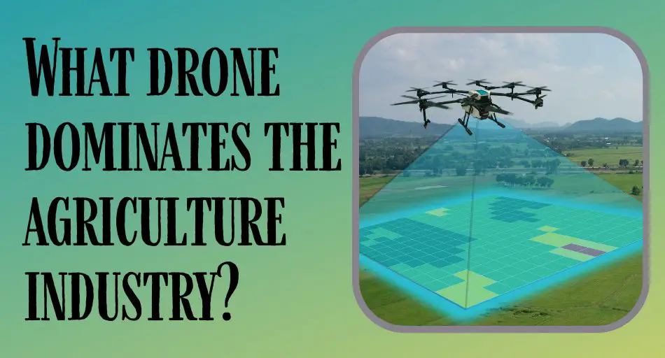 What drone dominates the agriculture industry